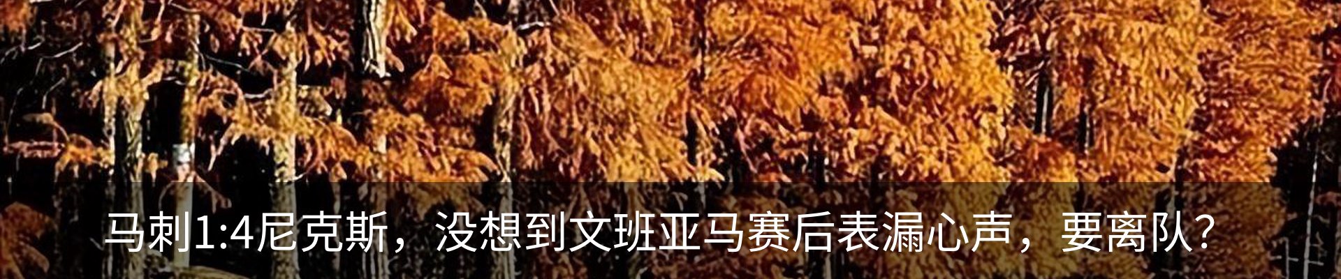 内页banner